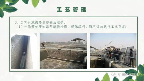 运河水厂在现代化水厂模式下的工艺运行管理实践 