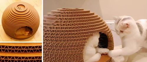 厉害了,手工达人用瓦楞纸板制作猫窝,这创意网友看完 都称赞