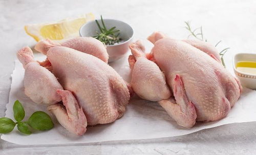 菜市场的禽类繁多,如何选购禽类 6步教你挑选最佳禽类
