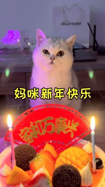 猫咪e梦酱祝大家新年快乐 
