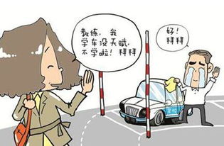 女司机高速路换胎 未意识到危险奇葩女司机 边打吊针边开车 