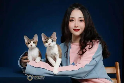 滨州品种猫爱好者协会成立大会