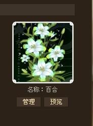 怎么看不见我的花藤？