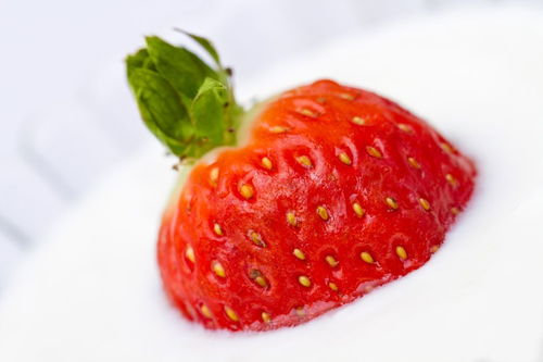 草莓籽可以种吗,新鲜的草莓能做种子吗？