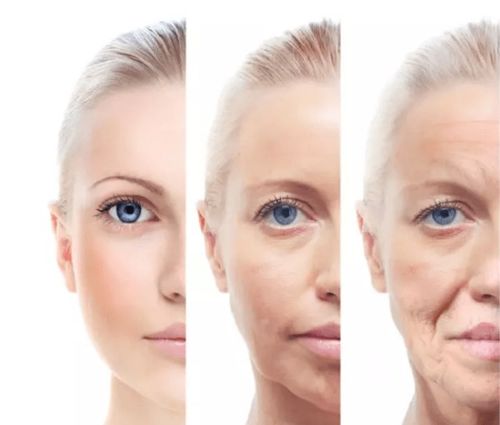 你知道吗 头皮老化会影响我们的面部肌肤