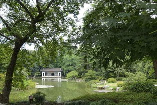 最忆是杭州 夏日里的杭州植物园 ,杭州旅游攻略 马蜂窝 