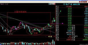 中体产业（600158），四环生物（000518）后期走势？