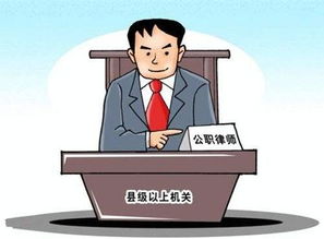山东县级以上党政机关应普遍设立公职律师 
