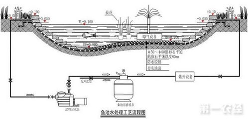 养鱼池循环过滤系统的做法(养鱼池循环过滤系统的做法图片)