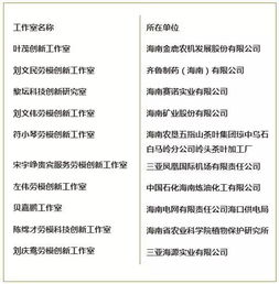 海南省总工会拟命名海南省劳模创新工作室公示