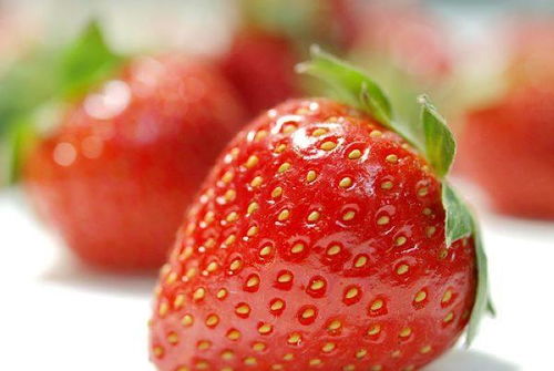 人人都爱吃草莓,但你有见过它发芽吗