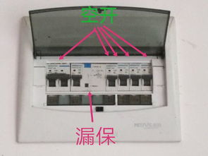 家里电闸合上后,过几分钟就跳闸,再合上,过几分又跳,是什么原因 