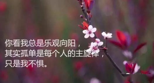 精彩音乐汇 龙梅子一首新歌 别拿我的感情当游戏 送给我的心上人