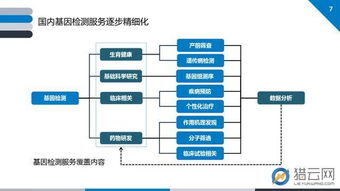 谁给我解释下什么是技术？技术行业都有哪些？