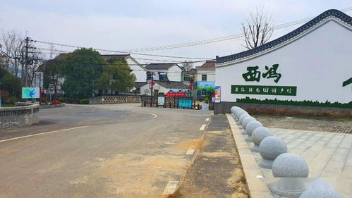 句容美丽乡村 只有画家写生的地方风景才美丽 句容市美术家协会走进后白镇西冯村写生活动