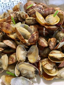辣炒蛤蜊 青岛的辣炒蛤蜊，排骨米饭，哪个更能代表青岛特色？ 