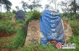 昆明宜良村民被要求为祖坟刷绿漆披绿网 组图 