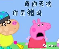 关于猪的搞笑名字