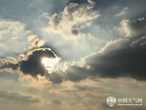 广东梅州上演现实版 神马都是浮云