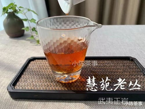 武夷岩茶水仙的三个认知误区,买之前捋清楚,别落入伪茶人的圈套