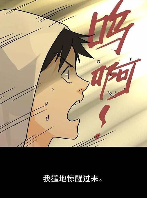 无标题