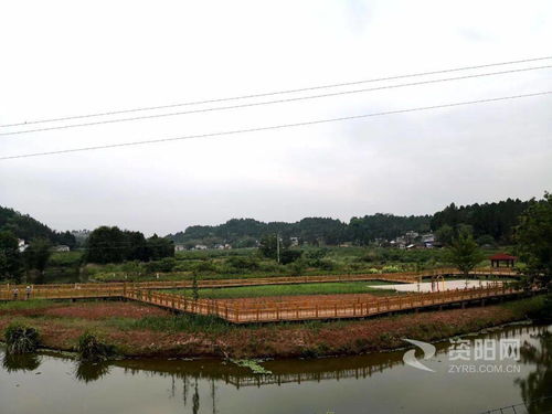 乐至县清水村建成两处生态景观湿地公园