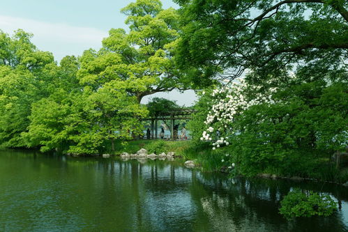 杭州灵山风水洞 花港观鱼1日游巴士1日当地游 特惠一日游