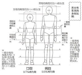 人的身高和速度成什么比例?