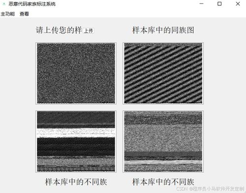 毕业论文定稿查重周记