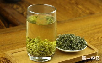 绿茶需要洗茶吗 冲泡绿茶的诀窍有哪些
