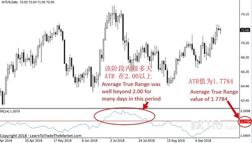 交易员工作范围是什么？