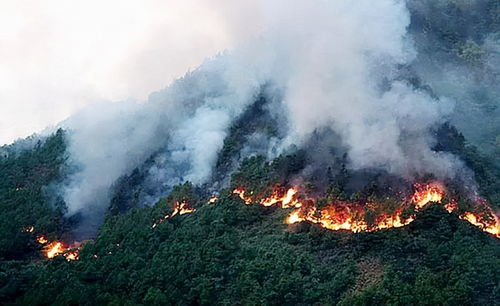 失去了26人的凉山消防西昌大队 烈士肩章取下交给家属