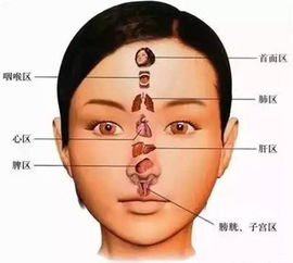 肝火旺的症状 肝火旺的症状有哪些如何处理