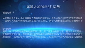 生肖属鼠的人每周运势2020年2月24日 3月1日