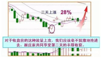 股票风险下降到一定程度不再下降，找出这个数来，解释为什么