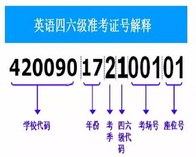 准考证号是什么组成的,准考证号是什么(图2)