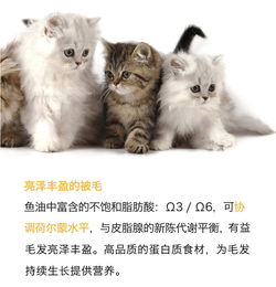 醇粹 幼猫奶糕天然猫粮视力发育 增加免疫力1kg