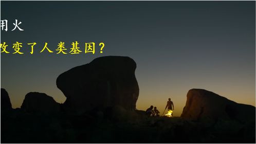 发明简史1 人类史上最伟大的发明,用火改变了人类的基因 