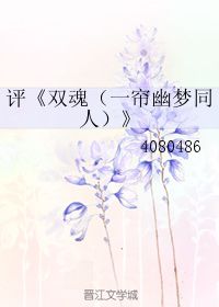 评 双魂 一帘幽梦同人 4080486 第1章 14 