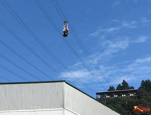 悲剧 女子高空索道直线坠落身亡 景区速滑项目全部停运