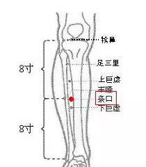 针灸治疗痛症准确穴位