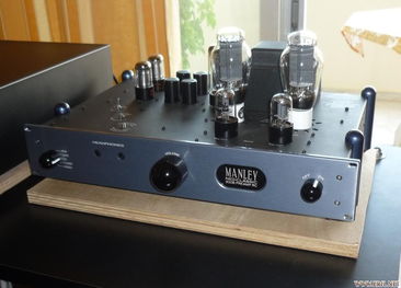 新手体会及问题 推T1的耳放,woo audio WA5和Manley 300B各有什么特点 