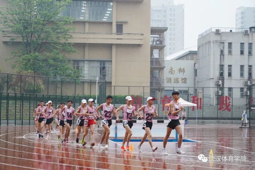 中国运动文化教育网体育单招考生为梦想,在武汉体育学院拼尽全力的瞬间 