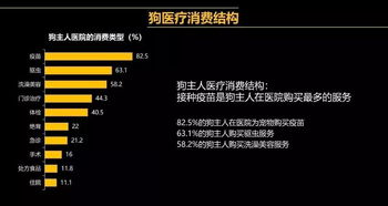 宠物医保 抓住就是赢家 看不明白就是输家