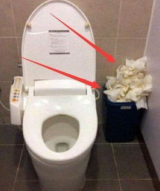 卫生纸到底能不能扔在马桶里 很多人都做错了,怪不得厕所很臭