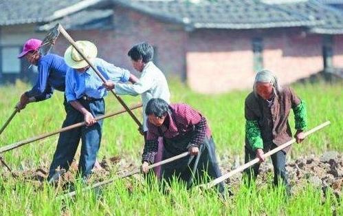 8月起,农村又要收费了 谁种地谁交钱,不种地的免交