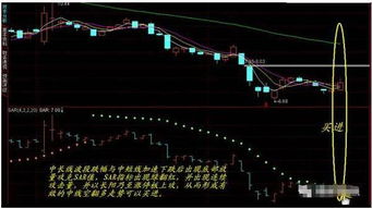 sar在股票里高级应用