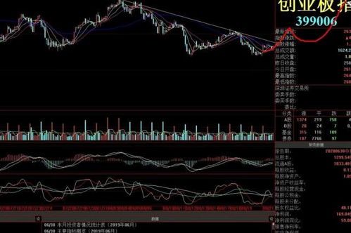 深证成指，深证综指，中小板指，创业板指，深证 100，这些是什么意思？开A股账户都能买么？