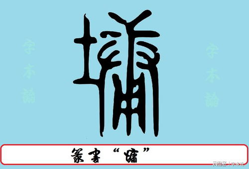 中国文字博物馆似 墉 字初形, 墉 字本义是城还是夯土部件