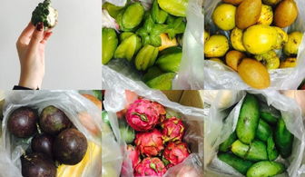 旅客云南购置五彩水果箱 果实多样色彩斑斓 